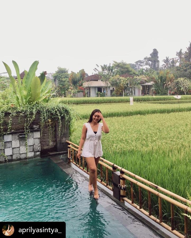 Nirankara Private Pool Villa - By Ubud Paradise Exterior foto
