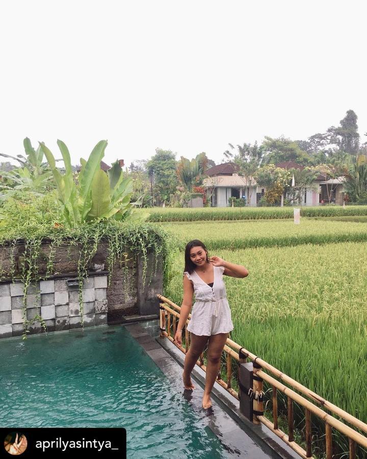 Nirankara Private Pool Villa - By Ubud Paradise Exterior foto