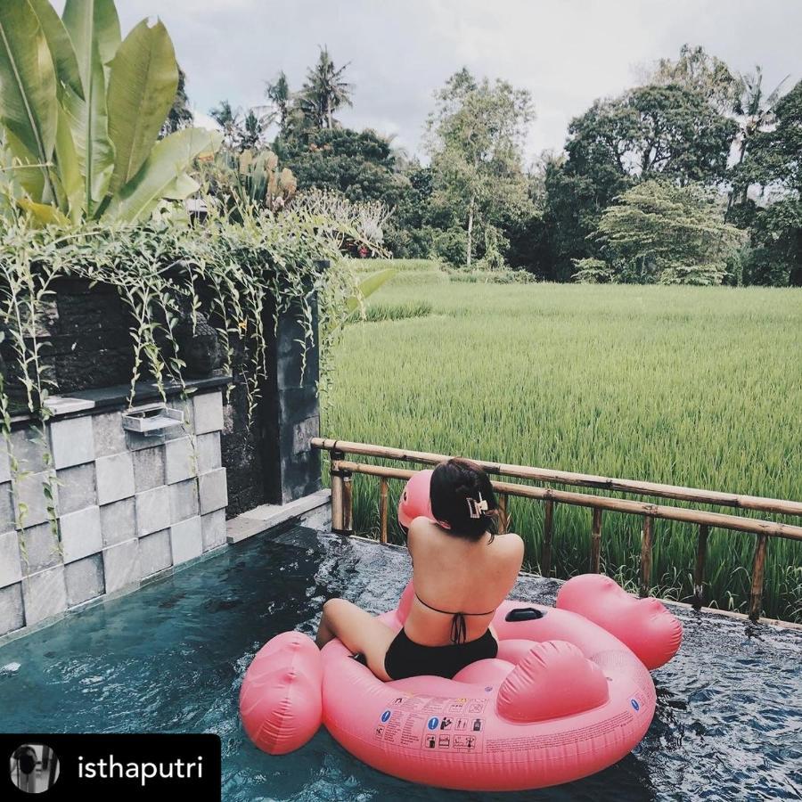 Nirankara Private Pool Villa - By Ubud Paradise Exterior foto